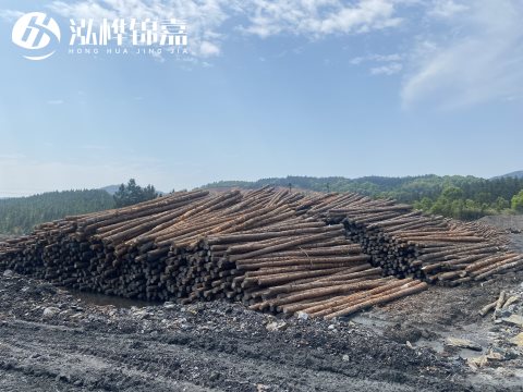 河道打樁為什么選擇松木樁來(lái)處理軟地基？-松木樁施工使用范圍