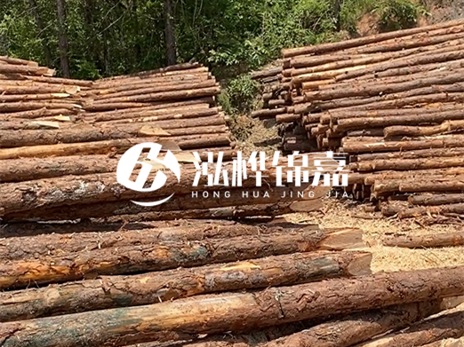 松木樁的運(yùn)輸費(fèi)用是否包含卸車費(fèi)？卸貨時需要注意哪些安全問題？
